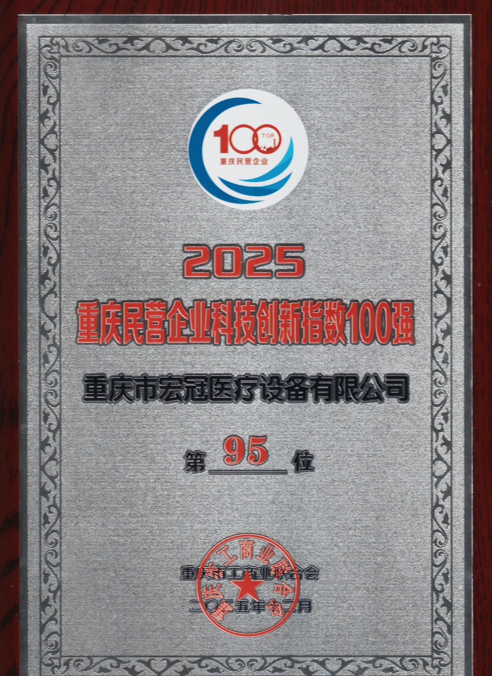 2025重庆民营企业科技创新指数100强 (2)