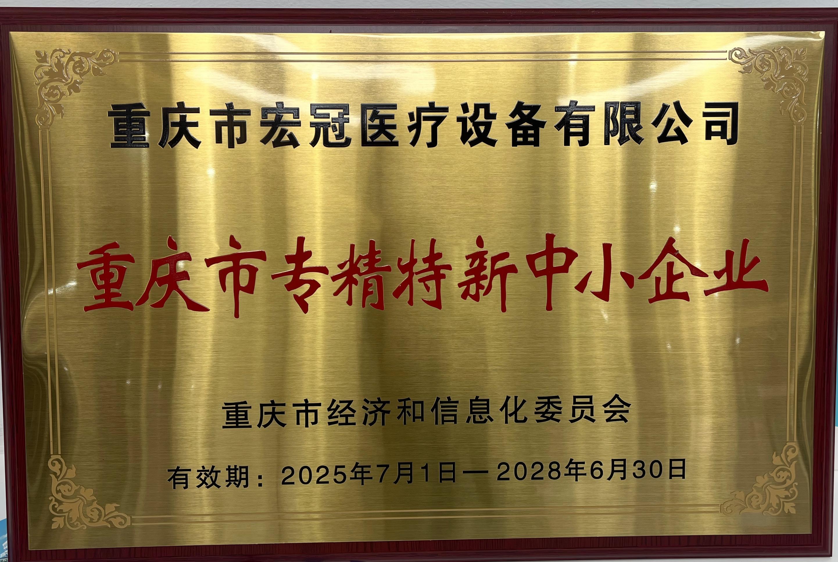 重庆市专精特新中小企业(1)