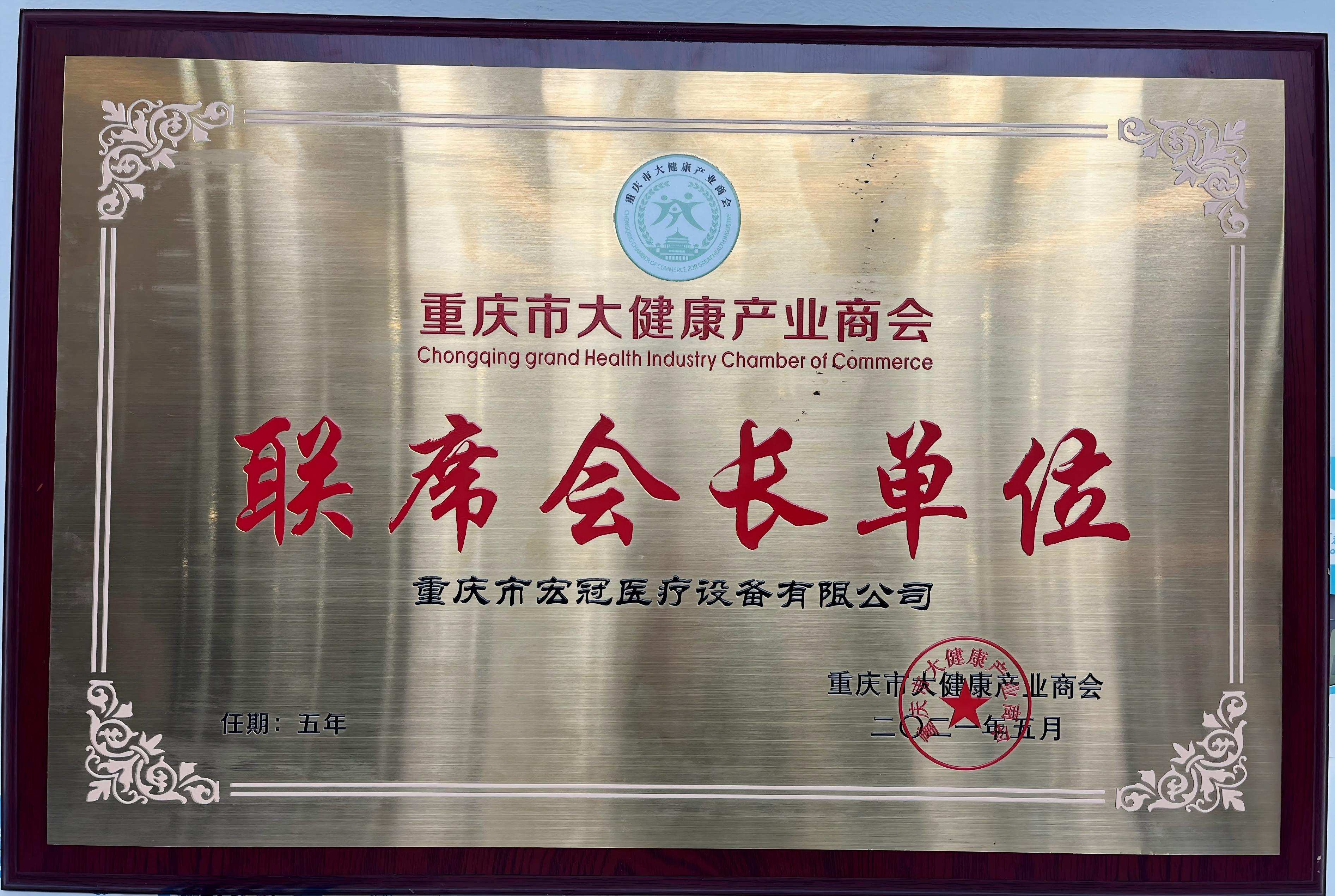 重庆市大健康产业商会（联席会长单位）(1)